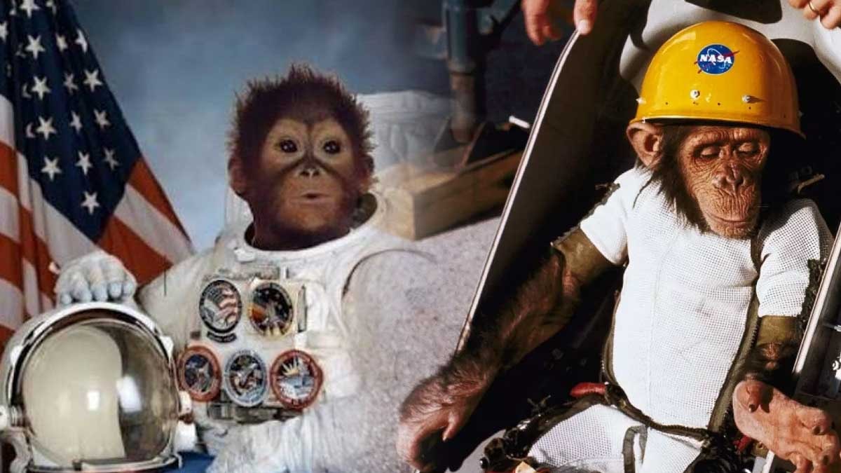 Herkes Apollo 11'i biliyor ama NASA'nın bu gizli skandalını kimse konuşmuyor