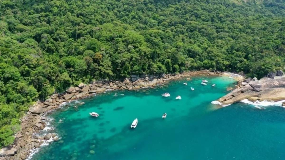 Dünyanın en büyük nehir adası: Tam 19 bin kilometrekare