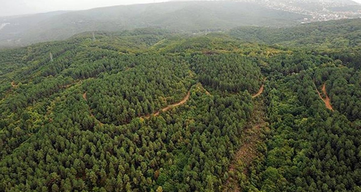 Türkiye’de 27 ili ilgilendiren yeni karar: İşte İstanbul ve Ankara’nın da dahil olduğu liste