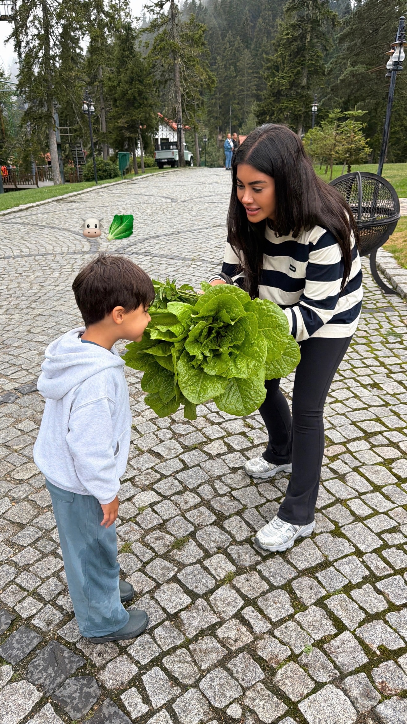 TARLADAN KARALAHANA TOPLUYOR