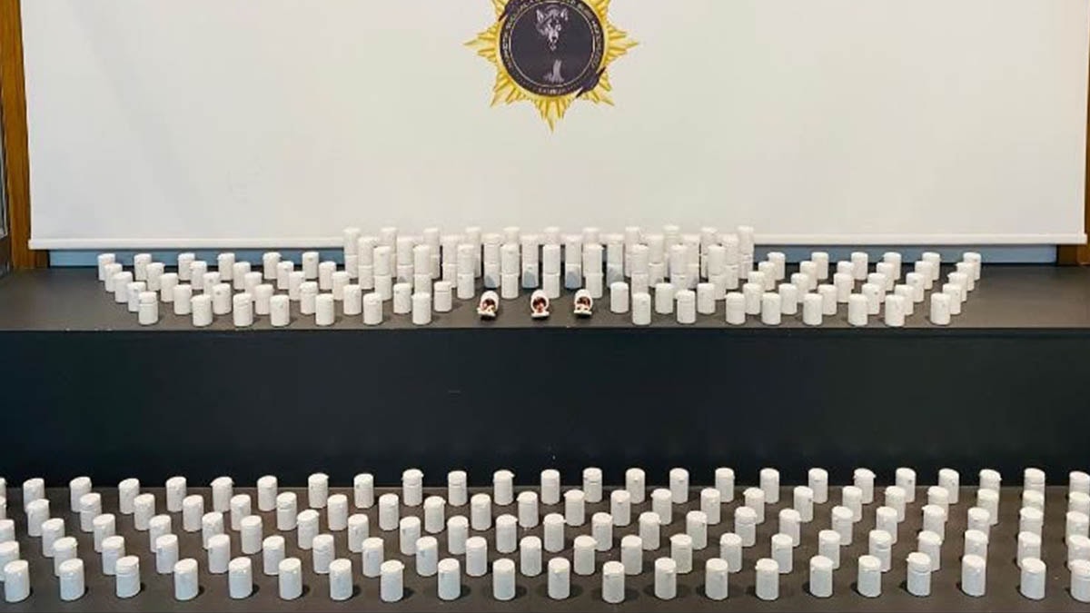 Samsun’da uyuşturucu operasyonu: 24 bin 640 sentetik ecza ele geçirildi