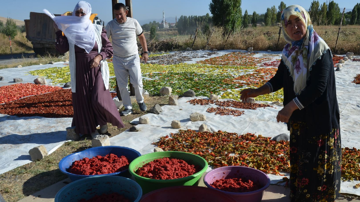 Yol kenarında başladı, gelir kapısı oldu: Avrupa'ya gönderiliyor
