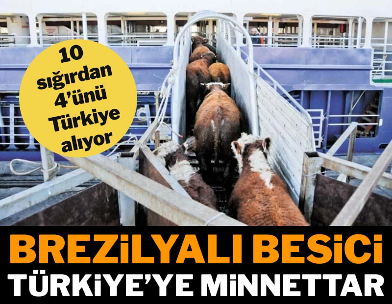 Brezilyalı besici Türkiye’ye minnettar