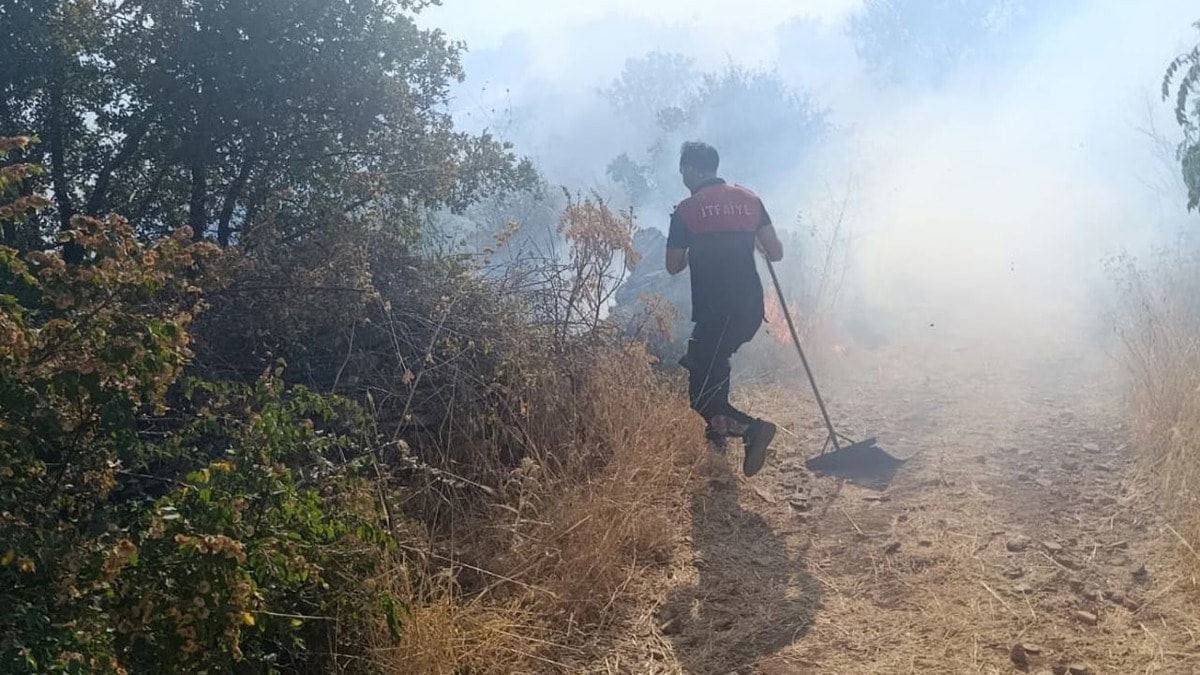 Siirt'te orman yangını ekipleri harekete geçirdi