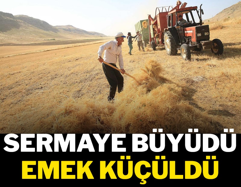 Sermaye büyüdü emek küçüldü