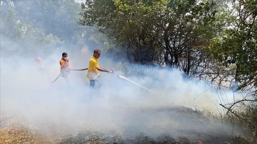 Balıkesir'de çıkan orman yangınına müdahale ediliyor