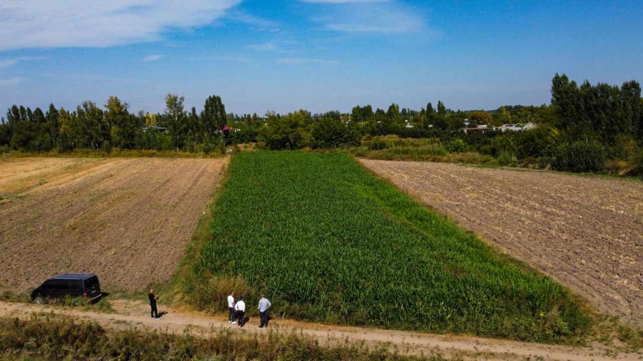 Toprağa atan yaşadı: Masrafı yarıya düşüyor verimi 2 katına çıkıyor