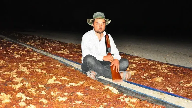 Servet değerindeki mahsulu korumak için tüfeğini alan tarlaya koştu