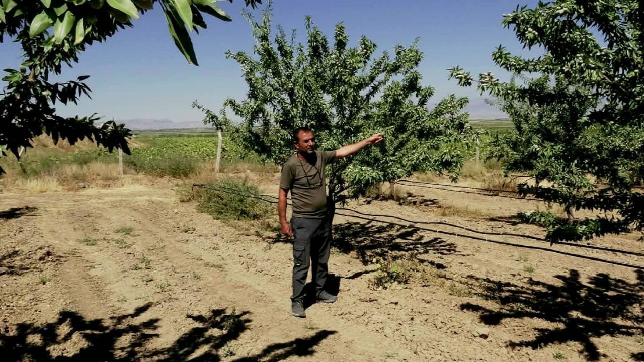 'Türkiye'de açık var' diyerek başladı: Hobi olarak girdiği işte imparatorluk kurdu