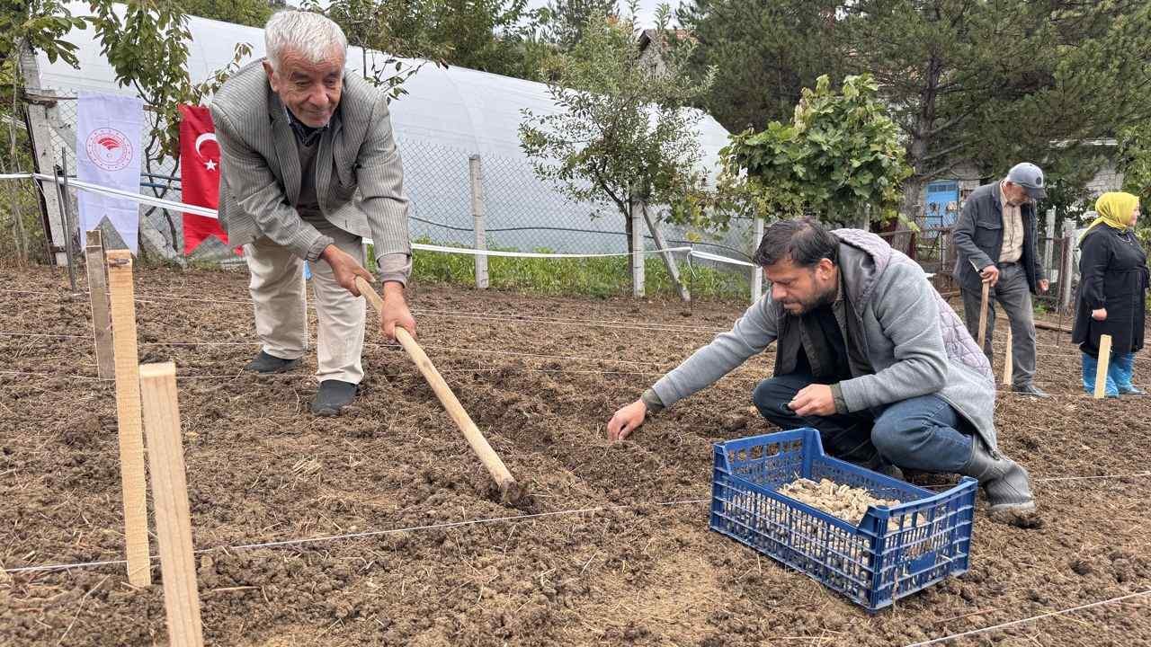Türkiye'nin yeni altın yumurtlayan şehri: Toprağından servet fışkırıyor