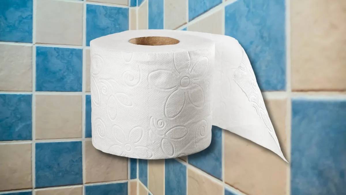 Tuvalet kağıtları meğer bu yüzden kabartmalıymış