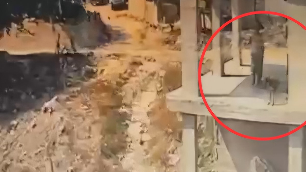 Vicdansızlığın da bu kadarı! İnşaatta uyuyan köpeğe sopayla saldırdı