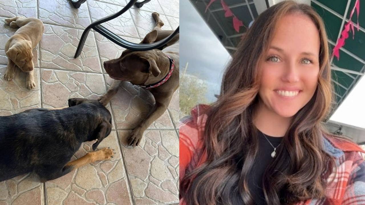 Köpekle ilişkiye giren kadın için yardım kampanyası başlattılar