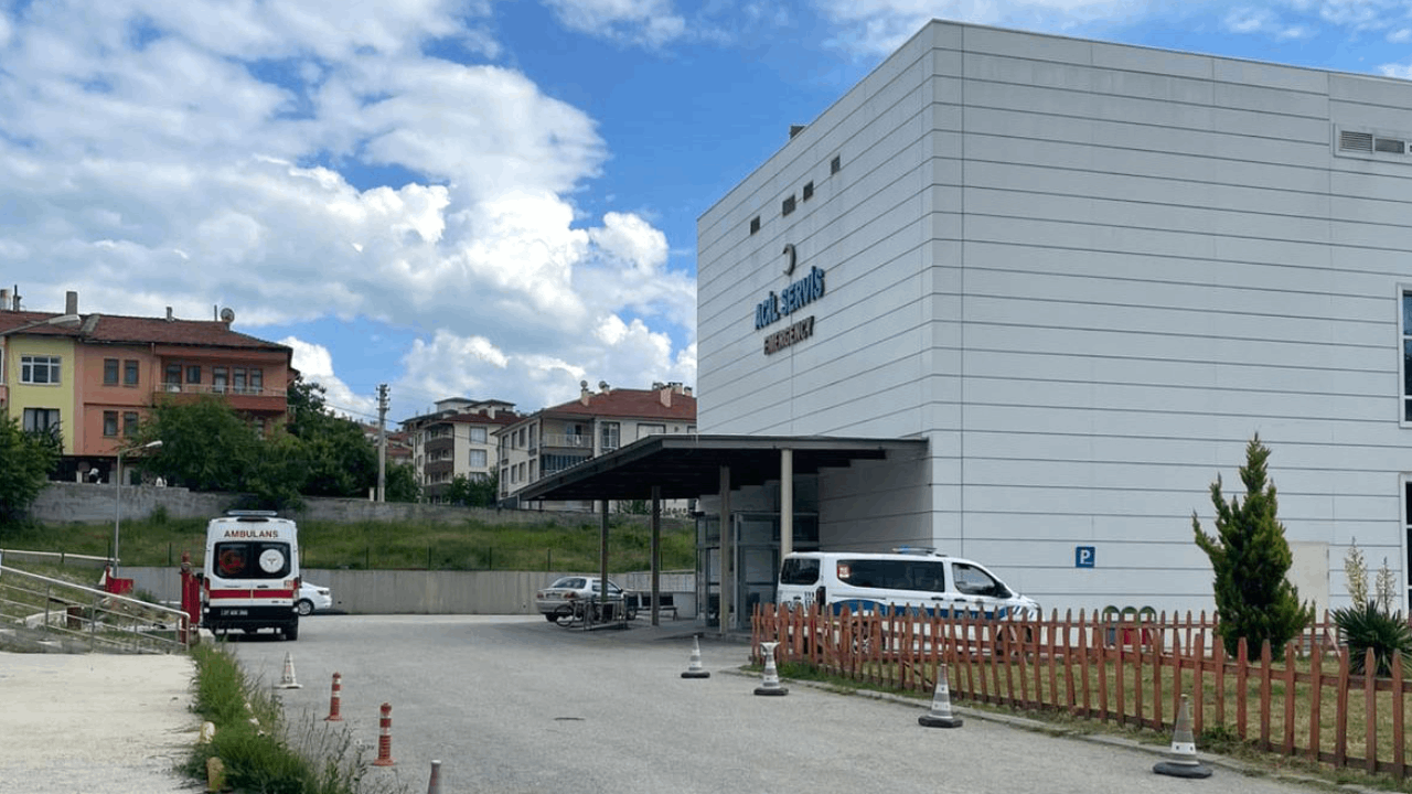 Ağaç keserken felaketi yaşadı: Orman işçisi arı sokması sonucu hayatını kaybetti