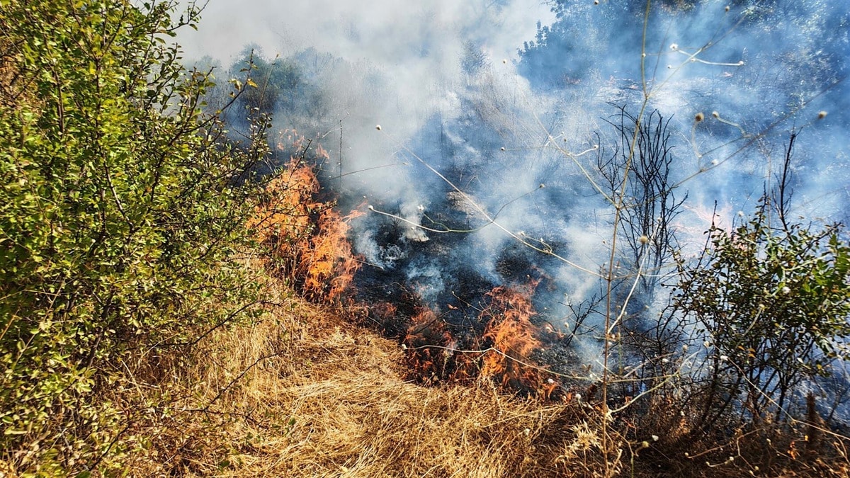 Yol kenarında çıkan yangın ormana sıçradı, ekipler harekete geçti