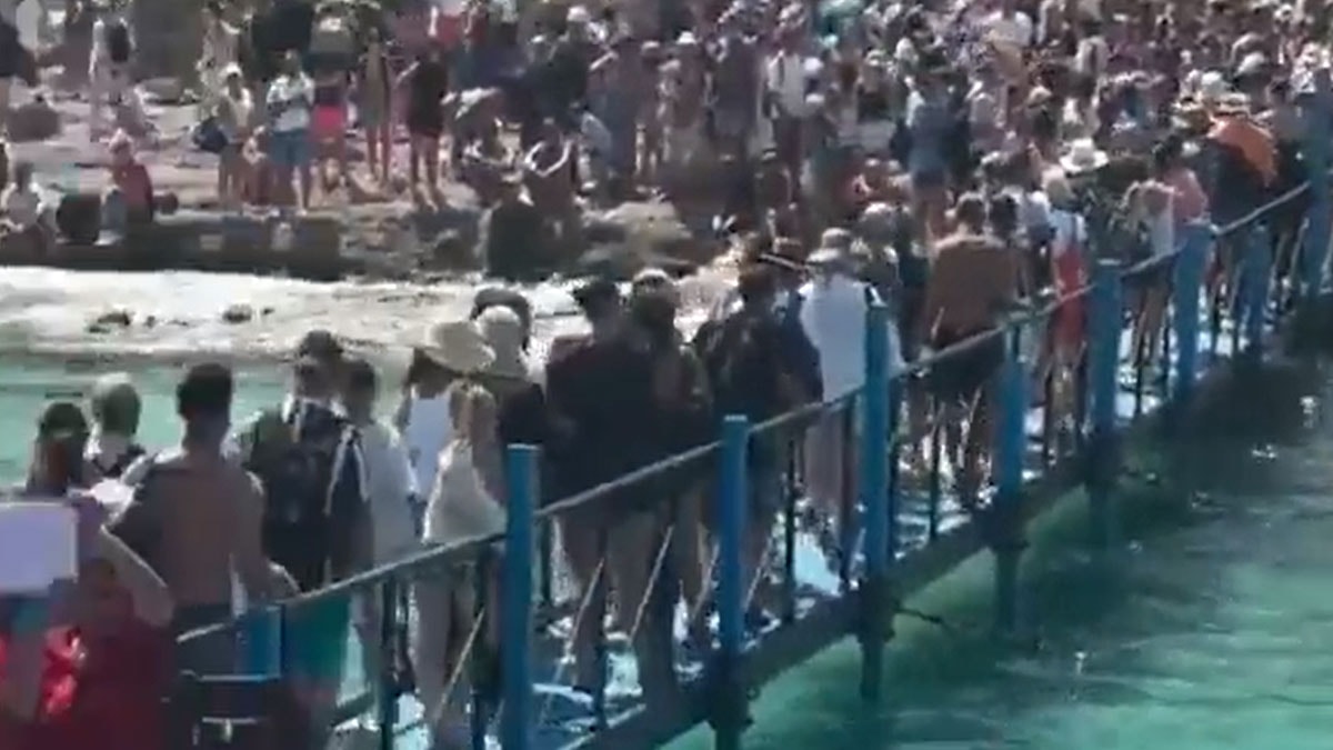 Burnumuzun dibindeki adada kaçmaya yer aradılar