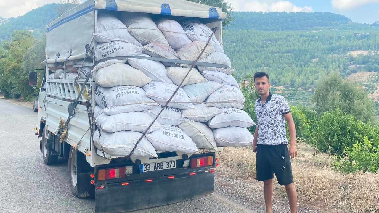 Yüz güldüren hasat başladı: Kamyon kamyon ürün 81 ile yola çıktı